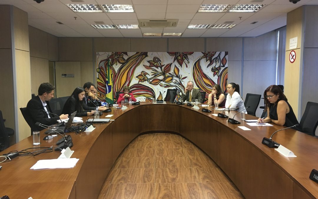 Advocacy Meeting Between Community of Practice and the Ministry of Environment in Brazil