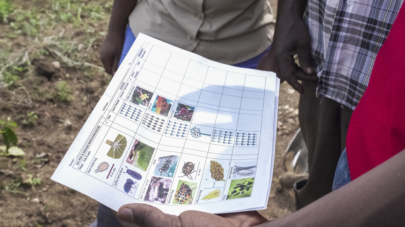 farmers are looking at sheet with usefull informations