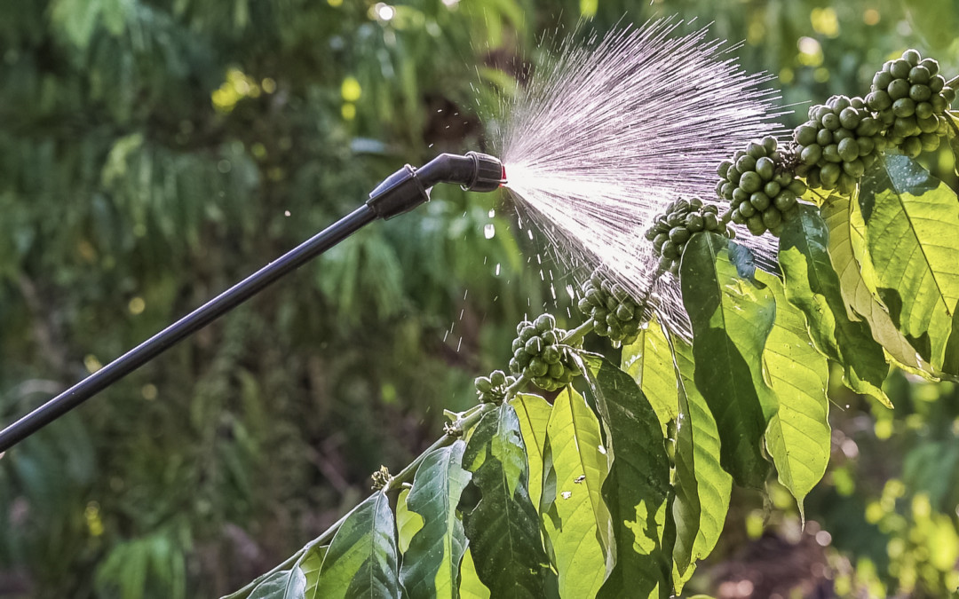 Agrochemicals in coffee production: c&c kicks-off awareness month