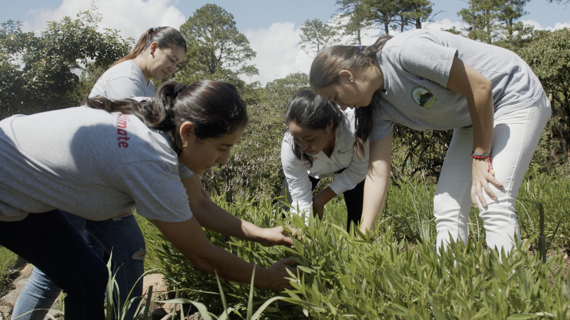 women in coffee production