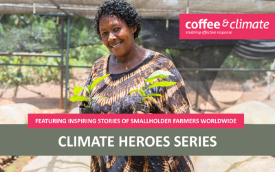 Climate Heroes: Betty’s Coffee Nursery Business