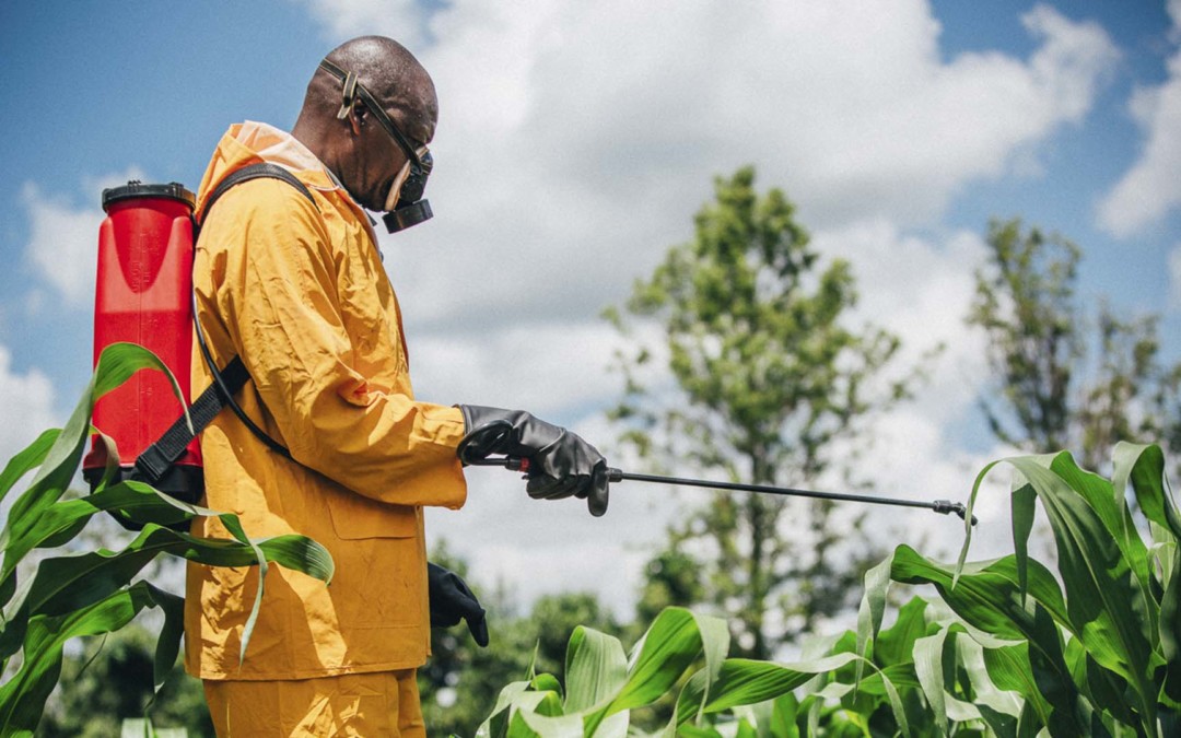 The unsafe use of agrochemicals by coffee farmers