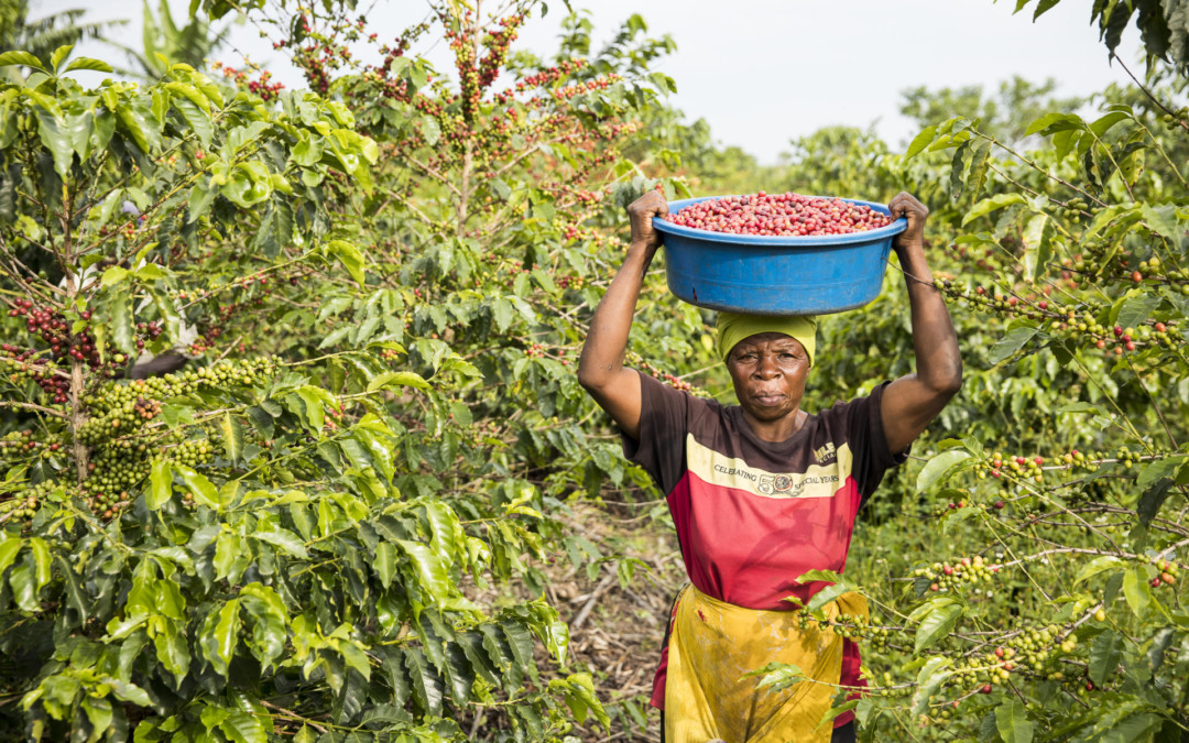 Closing The Gender Gap in Coffee Production