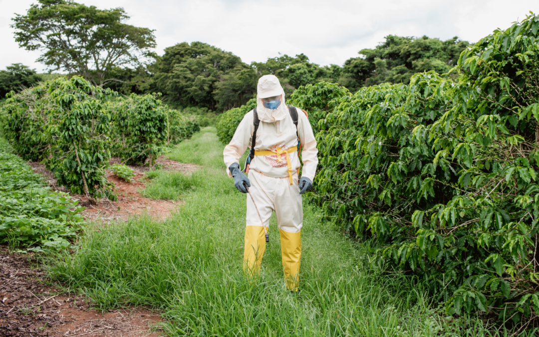 Safe use and handling of agrochemicals in the coffee sector