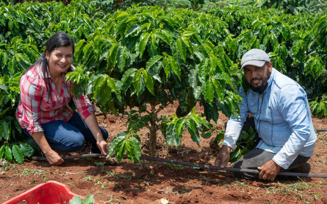 The coffee&climate toolbox is now part of Fairtrade’s Coffee Standard