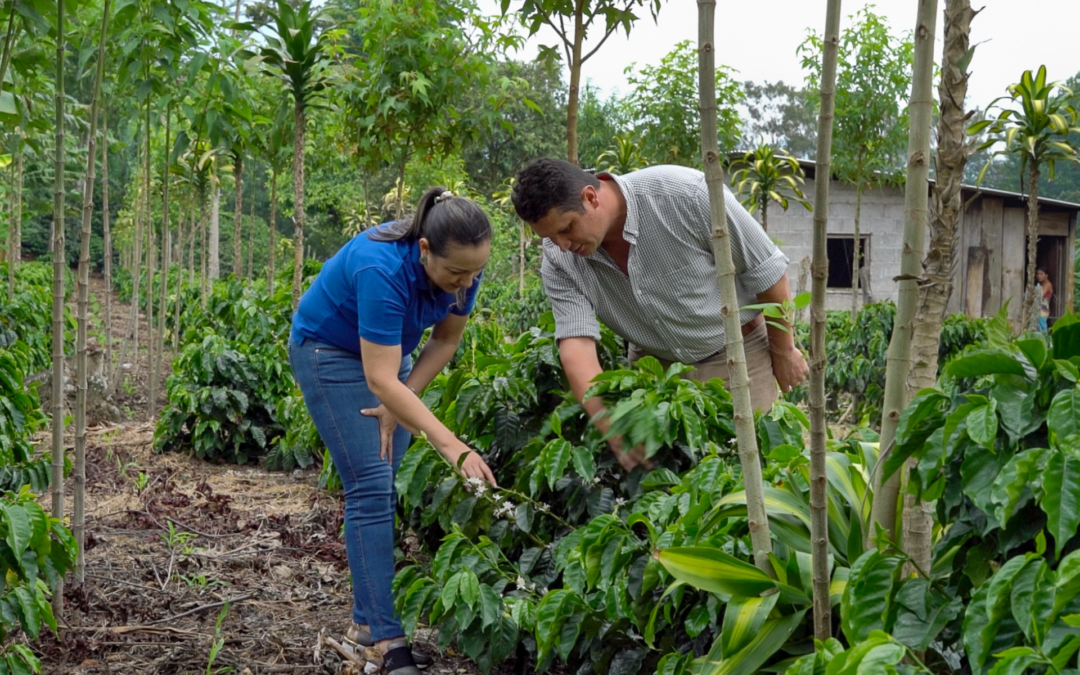 Walter Matter Joins the Initiative for coffee&climate (c&c)